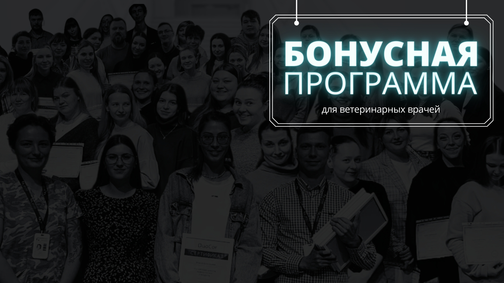 Бонусная программа